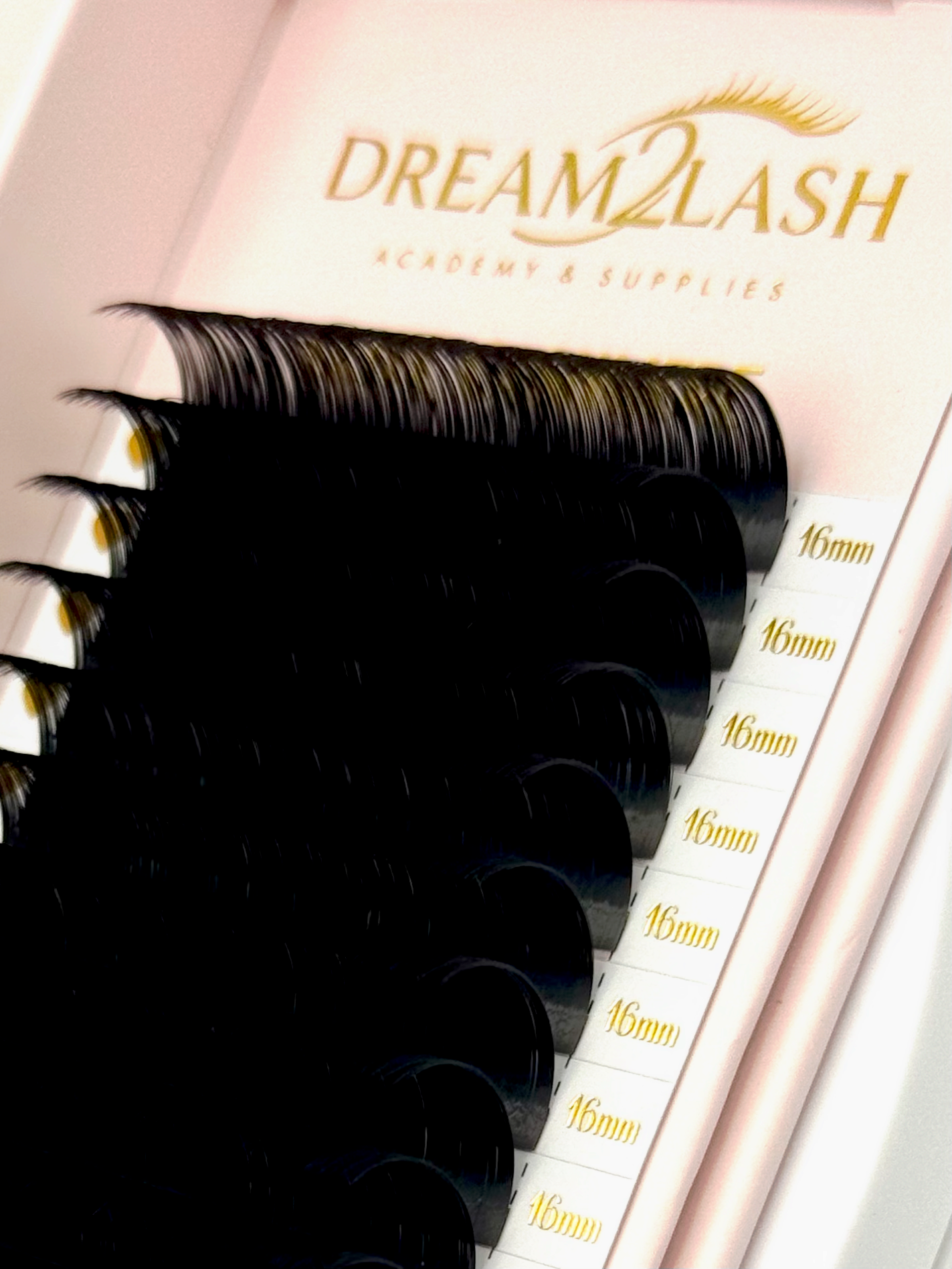 DREAM COLLECTION — ELITE CASHMERE