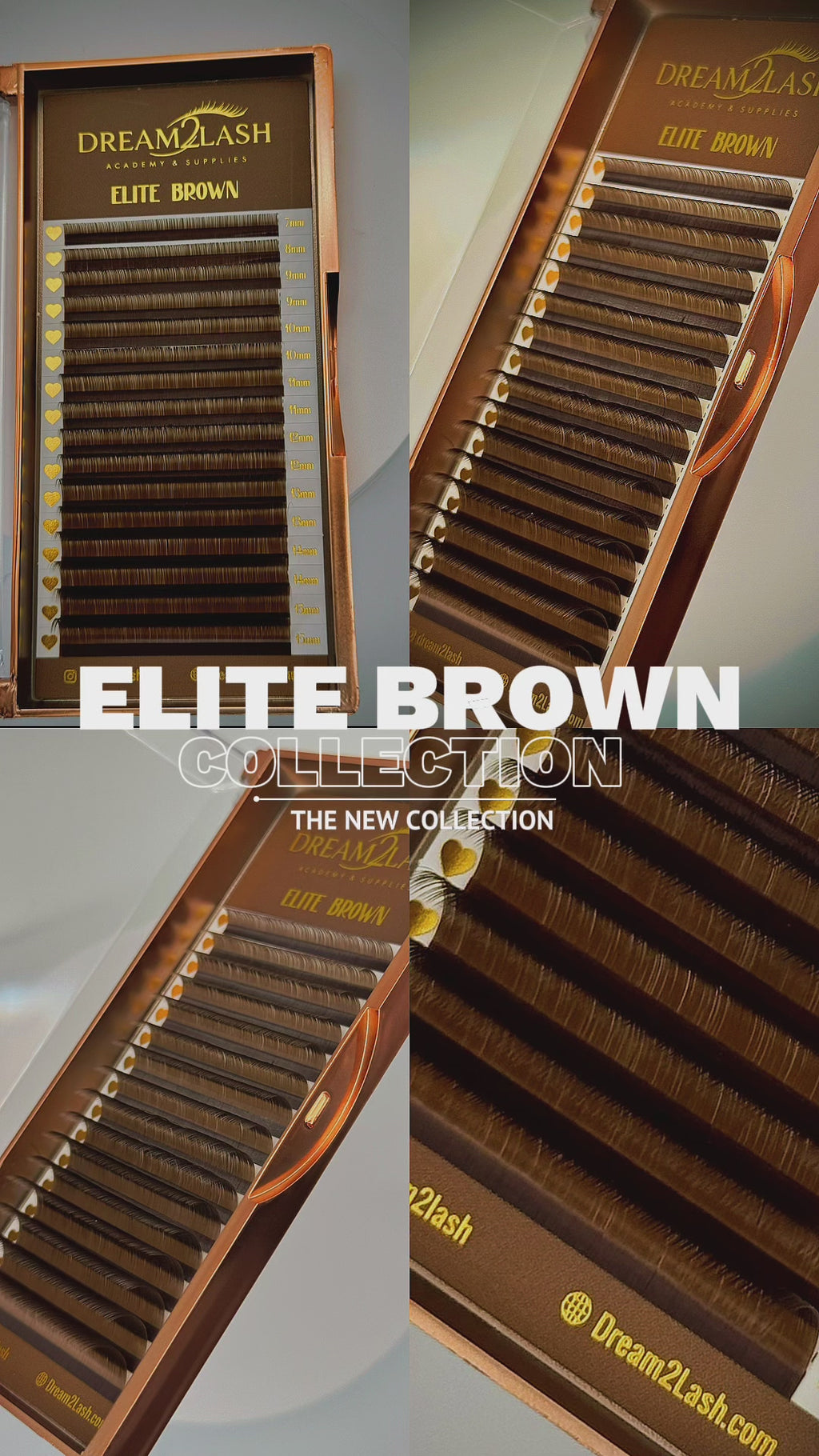 DREAM COLLECTION — ELITE BROWN